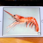 鮨匠 のむら - 並管髭海老