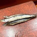 鮨匠 のむら - きびなご 子持ち