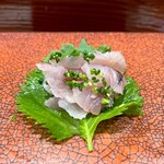 鮨匠 のむら - 真鯵 釣り