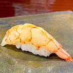 鮨匠 のむら - 並管髭海老 (ナミクダヒゲエビ)