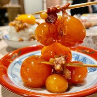 始祖鳥 - 