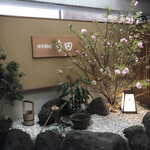 日本料理 寺田 - 八重桜が綺麗...