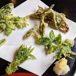 郷土料理ともん - 上からイタドリ、狭山茶、タカノツメ、コシアブラ