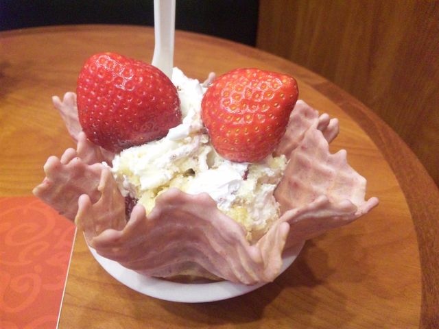 閉店 コールドストーンクリーマリー イオンモールむさし村山店 Cold Stone Creamery 武蔵砂川 アイスクリーム 食べログ 閉店 コールドストーンクリーマリー イオンモールむさし村山店 Cold Stone Creamery 武蔵砂川 アイスクリーム 食べログ