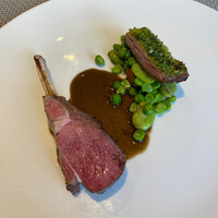 フィエルテ - ニュージーランド産 仔羊