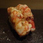 匠 すし昂 - 芝海老