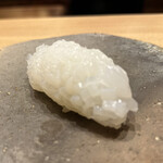 ひとつ - アオリイカ