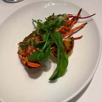 THE COSMOPOLITAN GRILL BAR TERRACE - 