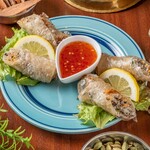 vietnamese fried spring rolls