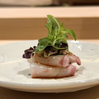 すし宮川 - イシダイ