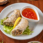 fried spring rolls