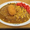 福島上等カレー - 