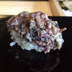 鮨 三心 - 蛍烏賊