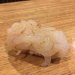 おすし 花富 - 白えび