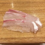 おすし 花富 - 真鯛