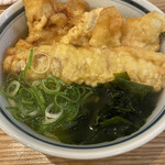 Udon Tamaki - 