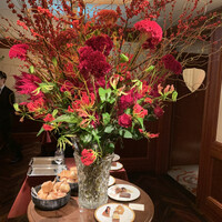 アピシウス -  アピシウス -