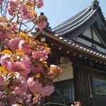 大仏cafe - 新家長福寺