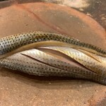 鮨桂太 - コハダ