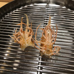 てんぷら 下村 - 車海老脚