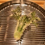 てんぷら 下村 - タラの芽