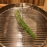 てんぷら 下村 - 伏見とうがらし