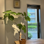 おやつ研究所 - すき。