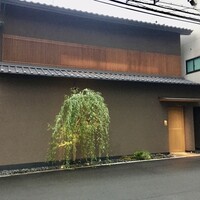弧柳 - 外観