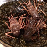 弧柳 - 伊勢海老(三重県)