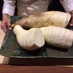 弧柳 - 朝堀り筍(貝塚市本積)