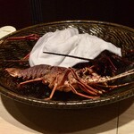 弧柳 - 伊勢海老(三重県)