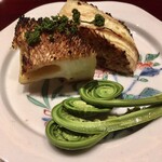 弧柳 - 旬肴:朝堀り筍(貝塚市本積)  桜海老(静岡県)  花さんしょう