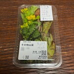 里の駅 大原 - 山菜の天ぷらセット 500円