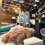 フロックス ローカル マーケット - 