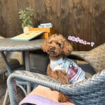 フロックス ローカル マーケット - 