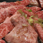 Yamagatagyuu Ittougai Yakiniku Fuuki - ③特撰カルビ　特撰もも