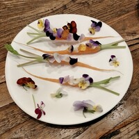 aru - スフィーダさんの春人参