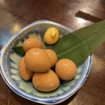 とり日和 - うずらどんぐり