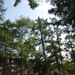 Prince Hotel Karuizawa East - 
