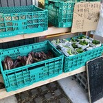 BARU 竹末 - 有機無農薬野菜の店頭販売