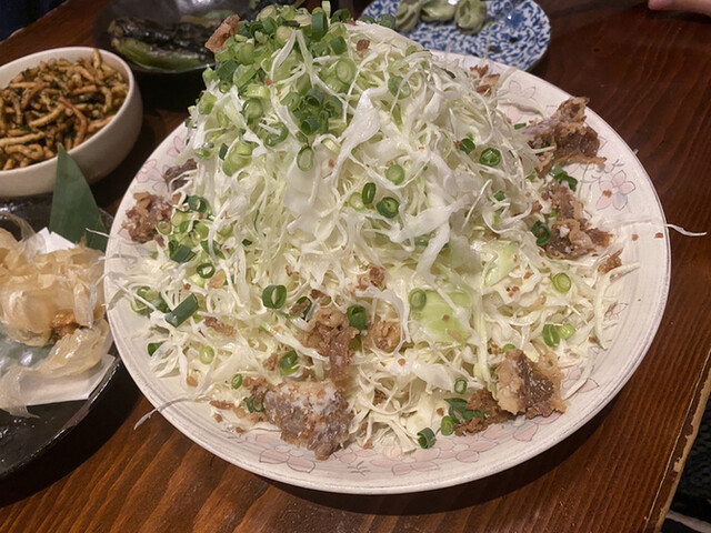 Nikudofu Nikuudon Kubota Komazawa Honjin