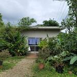 手打ちめん処 鍵 - 手打ちめん処 鍵（駐車場からの外観）