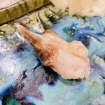 うを徳 - 三河産　新鳥貝