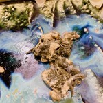 うを徳 - 三河産　新鳥貝　肝