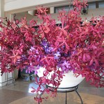 ザ・ブセナテラス - 