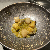 TOSAGE - 