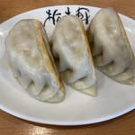 佐野らぁめんと餃子 栃木軒 - 餃子３個　大きく具材ギッシリ