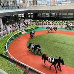 Torigin - 福島競馬場・パドック　　7月訪問時