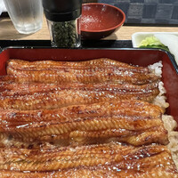うなぎ 目白ぞろ芽 - 