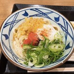 Marugame Seimen - 